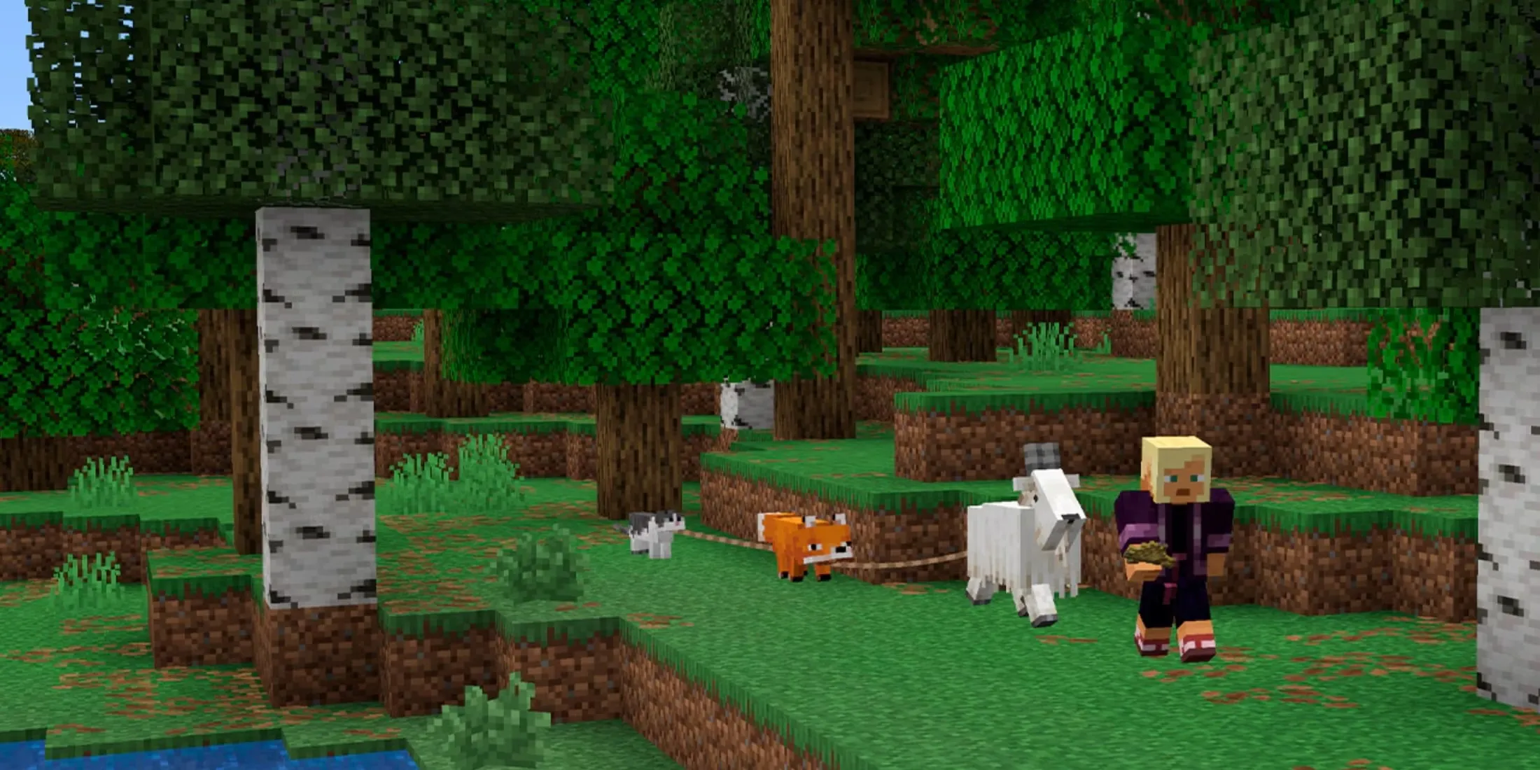 Minecraft Leash Snapshot 2
